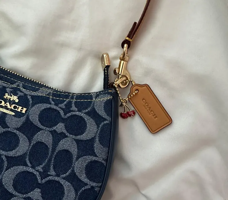 Coach denim Authentic Teri signature canvas purse - Image 3